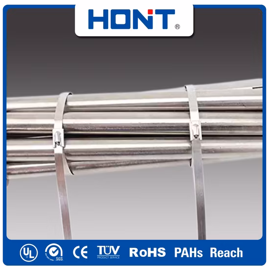 Тип шарового замка Без покрытия Нержавеющая сталь SS304 Нержавеющая сталь 316 304 Нержавеющая сталь Нержавеющая сталь Металл с эпоксидным покрытием Самоблокирующийся кабельный маркер Застежка-молния Стяжка с CE RoHS UL